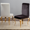 Contemporary Style Dining Chair